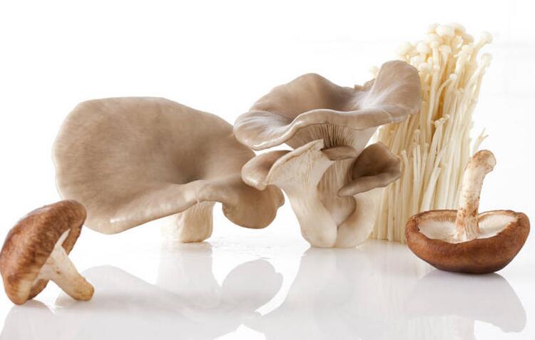 臨沂信邦生物科技有限公司 (10).jpg 臨沂信邦生物科技有限公司 (10).jpg